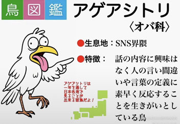 のりちゃん
